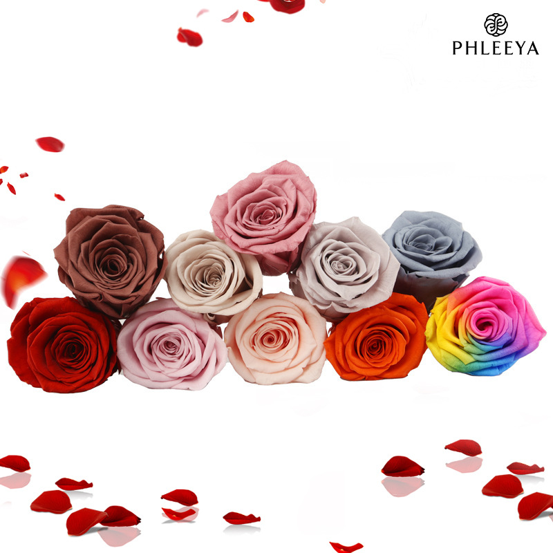 6 teste di fiori di rosa etern - Wedding Supply Bulk recensione e prezzo